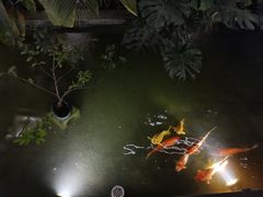 -漫笙舍Manse·咖啡·民宿