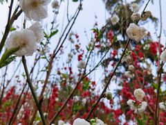 -桃花涧