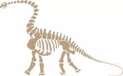 -小鸡哆哆故事屋·儿童乐园(嘉里城店)