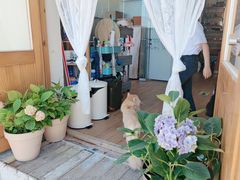 -小时光咖啡馆(开森度假森林店)