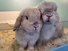 -FAIRYLAND龙族星球主题餐厅(凯丹广场店)