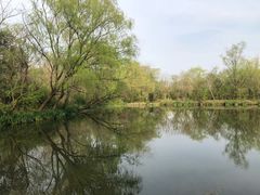 -溱湖国家湿地公园