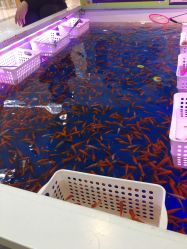 -孩子王(巴南万达广场店)