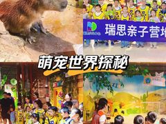-瑞思少儿中心·少儿英语素养启蒙(新合作校区)