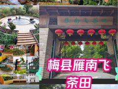 -梅州天地人花园酒店(梅县人民广场店)