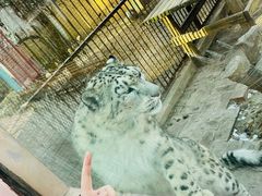 -青藏高原野生动物园