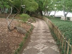 -秋霞圃