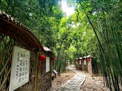 -同里国家湿地公园