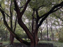 -徐家汇源景区-衡山公园