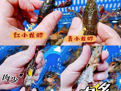 -盒马鲜生(财富中心店)