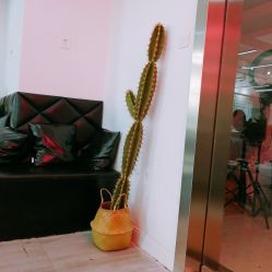 -MOKA SALON