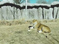 -北京野生动物园