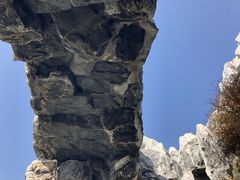 -桃花岛公园