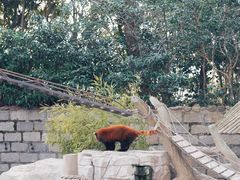-上海野生动物园