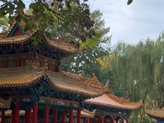 -鼓楼(兴庆区)