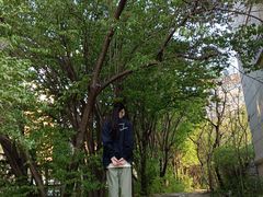 -长春市南湖公园