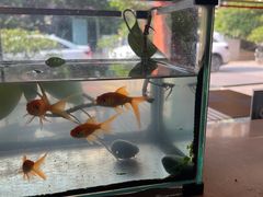 -JACK’S  PLACE 杰克地方(上海路店)