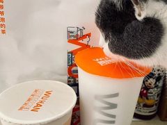 -爷爷不泡茶NOYEYENOTEA(武汉佰港城创始店)