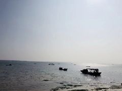 -北海金海湾红树林生态旅游区