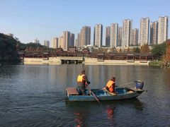-重庆彩云湖湿地公园