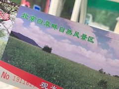 -白草畔自然风景区