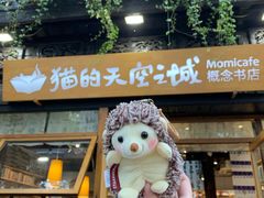-猫的天空之城概念书店(杭州南宋御街店)