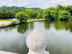 -大屏嶂森林公园
