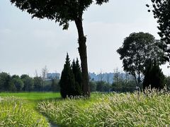 -汉长安城未央宫国家考古遗址公园