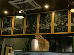 -咖法森林·咖啡  酒吧(天河店)