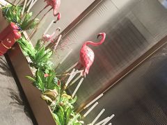 -宏宴·新京菜(望京店)