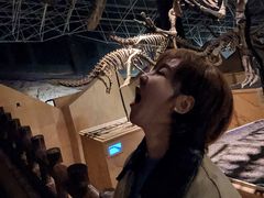 -世界恐龙谷景区