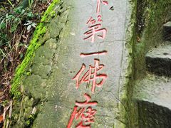 -大金鹰园