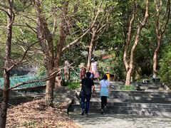 -宁波五龙潭景区