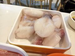-蛙两只美蛙鱼头火锅(恒茂店)
