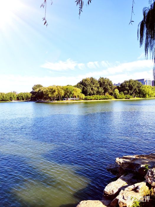 陶然亭公园图片