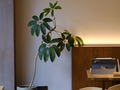 -溯洄咖啡VORTEX COFFEE