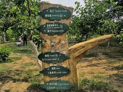 -御林古桑园