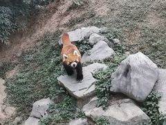 -南昌动物园