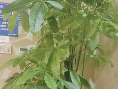 -鼎族怡华·指压·经络·疗愈SPA(紫荆店)