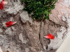 -码头故事火锅(大丰店)