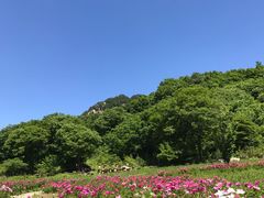 -丹东天桥沟景区