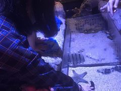 -暹罗海洋世界