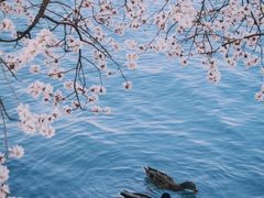 -南海子公园