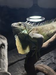 -Zoolung Zoolung动物主题公园(海信广场店)