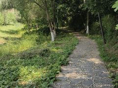 -佛手湖郊野公园