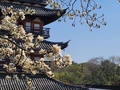 -上海方塔园