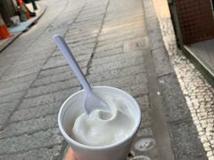-洪馨椰子