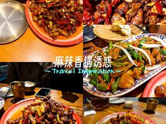 -柴窝堡22号辣子鸡·传承新疆菜