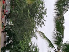 -三亚南山文化旅游区