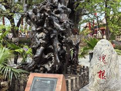 -大槐树寻根祭祖园